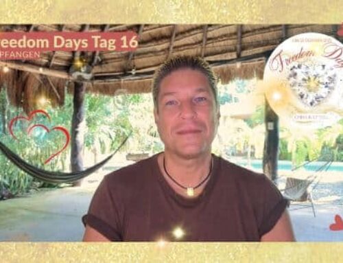 Tag 16: Du musst nichts mehr verdienen