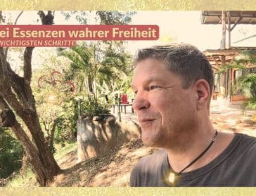 Warum die meisten Menschen Freiheit komplett falsch verstehen