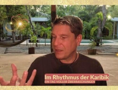 Finde deinen Platz: Wie du zur Königin oder zum König deines Lebens wirst